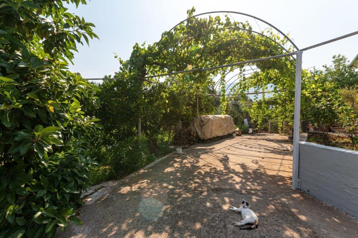 Serene Seaside Bliss - Lush & Secluded Garden Oasis Kalamáta Buitenkant foto